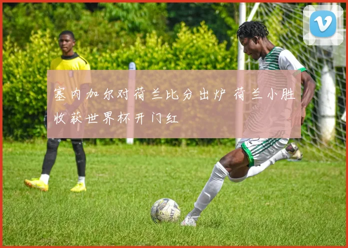 塞内加尔对荷兰比分出炉 荷兰小胜收获世界杯开门红