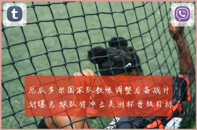 厄瓜多尔国家队教练调整后备战计划曝光 球队将冲击美洲杯晋级目标